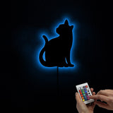 Relax Kitty chat miroir mural lumineux chaton chat miroir moderne acrylique miroir Art avec LED illumination chat Pet propriétaires cadeau