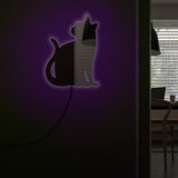 Relax Kitty chat miroir mural lumineux chaton chat miroir moderne acrylique miroir Art avec LED illumination chat Pet propriétaires cadeau